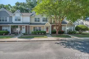 12844 Spirit Bound Way, Charlotte, NC 28273 - Photo 1