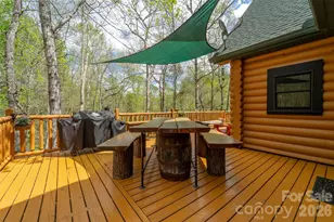 91 Double Springs Rd, Almond, NC 28702 - Photo 4