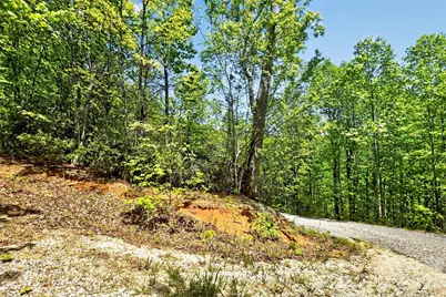 0 Bobcat Drive #741, Old Fort, NC 28762 - Photo 6