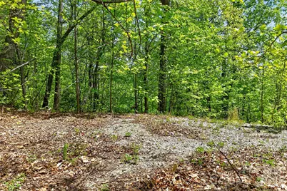 0 Bobcat Drive #741, Old Fort, NC 28762 - Photo 1