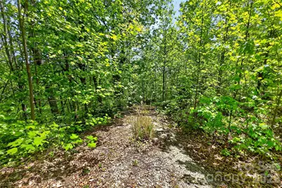 0 Bobcat Drive #741, Old Fort, NC 28762 - Photo 8