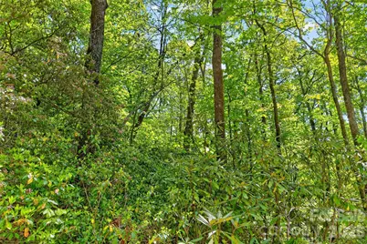 0 Bobcat Drive #741, Old Fort, NC 28762 - Photo 26