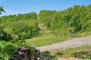 41 St Andrews Rd, Arden, NC 28704 - Photo 48