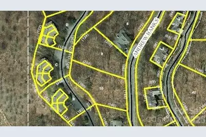 Lot 9 & 10 Andrew Banks Road, Burnsville, NC 28714 - Photo 8