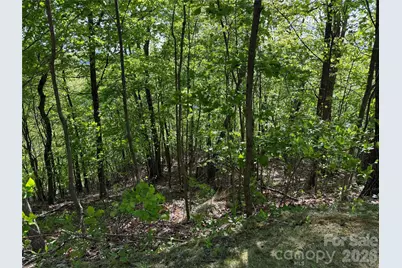 Lot 9 & 10 Andrew Banks Road, Burnsville, NC 28714 - Photo 4