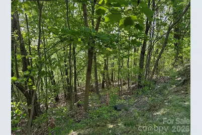 Lot 9 & 10 Andrew Banks Road, Burnsville, NC 28714 - Photo 6