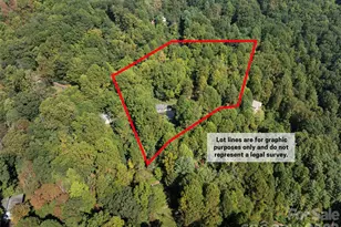 150 Sorghum Dr, Waynesville, NC 28785 - Photo 44