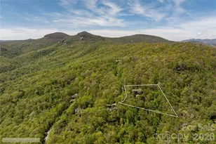 562 Panther Ridge Rd, Lake Toxaway, NC 28747 - Photo 40