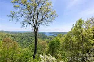 562 Panther Ridge Rd, Lake Toxaway, NC 28747 - Photo 20