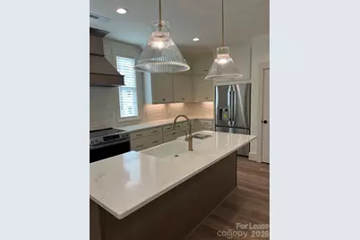 229 Davidson Gateway Drive, Davidson, NC 28036 - Photo 4