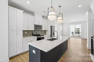 1120 Kokomo Ln, Charlotte, NC 28206 - Photo 4