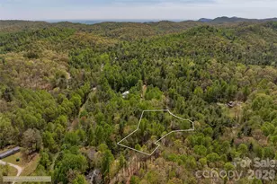 138 Stillwagon Ln, Cedar Mountain, NC 28718 - Photo 42