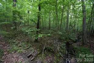 3007 Paraham Road S, York, SC 29745 - Photo 24