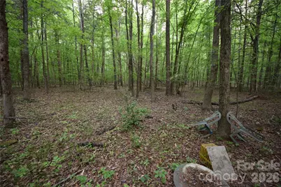 3007 Paraham Road S, York, SC 29745 - Photo 26