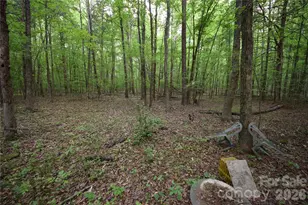 3007 Paraham Road S, York, SC 29745 - Photo 26