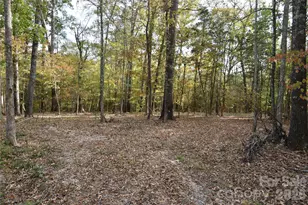 3007 Paraham Road S, York, SC 29745 - Photo 28