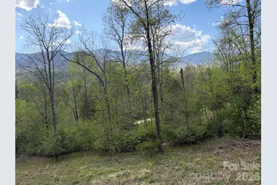 000 Mt. Mitchell Drive, Burnsville, NC 28714 - Photo 4