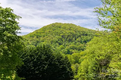 224 Seasons Drive, Clyde, NC 28721 - Photo 42