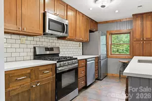 250 Potato Branch Rd, Leicester, NC 28748 - Photo 6