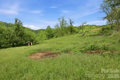 250 Potato Branch Road, Leicester, NC 28748 - Photo 44