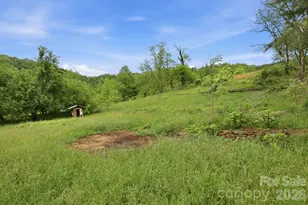 250 Potato Branch Rd, Leicester, NC 28748 - Photo 44