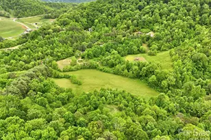250 Potato Branch Rd, Leicester, NC 28748 - Photo 42