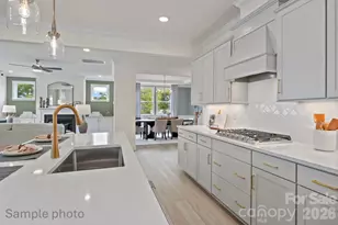 2933 Audubon Ridge, Belmont, NC 28012 - Photo 8