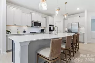 143 Dogwood Grv Pl, Troutman, NC 28166 - Photo 14