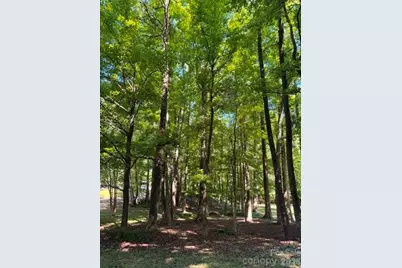 12538 Sam Furr Road, Huntersville, NC 28146 - Photo 6