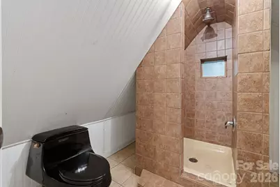 385 Pisgah Drive, Canton, NC 28716 - Photo 34
