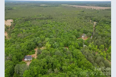 3133 Magnolia Road, Bennettsville, SC 29512 - Photo 4
