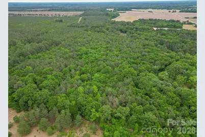 3133 Magnolia Road, Bennettsville, SC 29512 - Photo 10