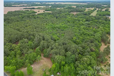 000 Magnolia Road, Bennettsville, SC 29512 - Photo 8