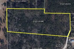 000 Magnolia Rd, Bennettsville, SC 29512 - Photo 1