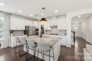 17504 Austins Creek Dr, Charlotte, NC 28278 - Photo 6