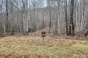 0 Beaver Dam Rd, Banner Elk, NC 28604 - Photo 1