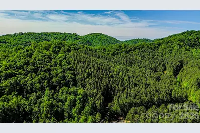 146 S Branch Drive, Bostic, NC 28018 - Photo 24