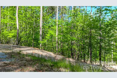 146 S Branch Drive, Bostic, NC 28018 - Photo 30