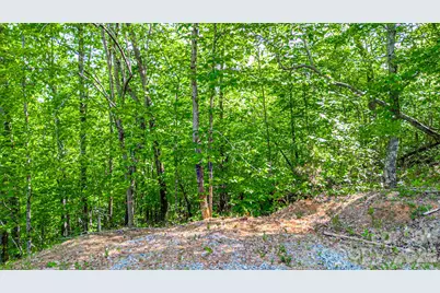 146 S Branch Drive, Bostic, NC 28018 - Photo 6