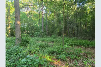 0000 218 Highway E, Marshville, NC 28103 - Photo 10