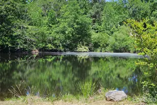 5692 Brooklyn Rd, Great Falls, SC 29055 - Photo 4