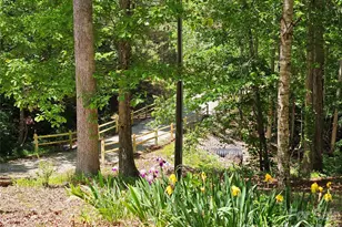5692 Brooklyn Rd, Great Falls, SC 29055 - Photo 44
