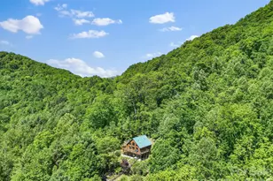 1206 Caldwell Mountain Rd, Hot Springs, NC 28743 - Photo 2