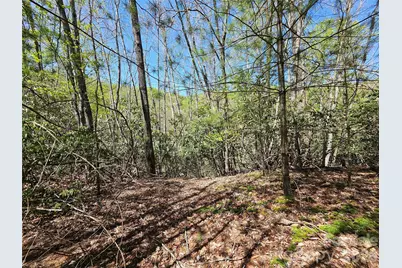 465 Paradise Lane, Burnsville, NC 28714 - Photo 42