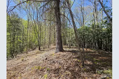 465 Paradise Lane, Burnsville, NC 28714 - Photo 40