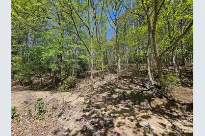 465 Paradise Lane, Burnsville, NC 28714 - Photo 10