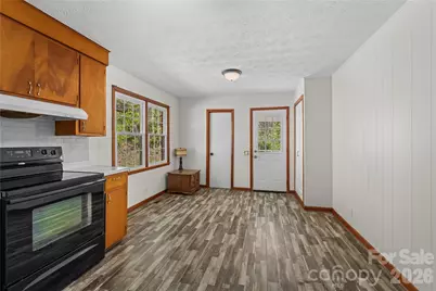 121 Dale Earnhardt Drive, Burnsville, NC 28714 - Photo 6