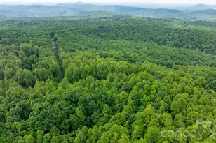 3494 Vannoy Ridge Rd, Moravian Falls, NC 28654 - Photo 34