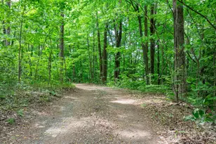 3494 Vannoy Ridge Rd, Moravian Falls, NC 28654 - Photo 24