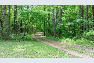 3494 Vannoy Ridge Road, Moravian Falls, NC 28654 - Photo 22